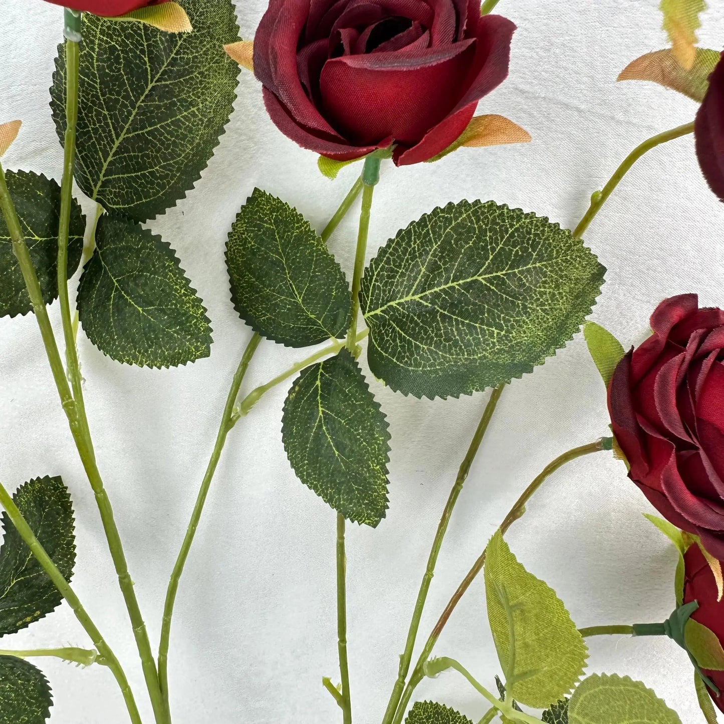 Red Silk Empress Rose Bush - 8 Heads RosesHQ.com
