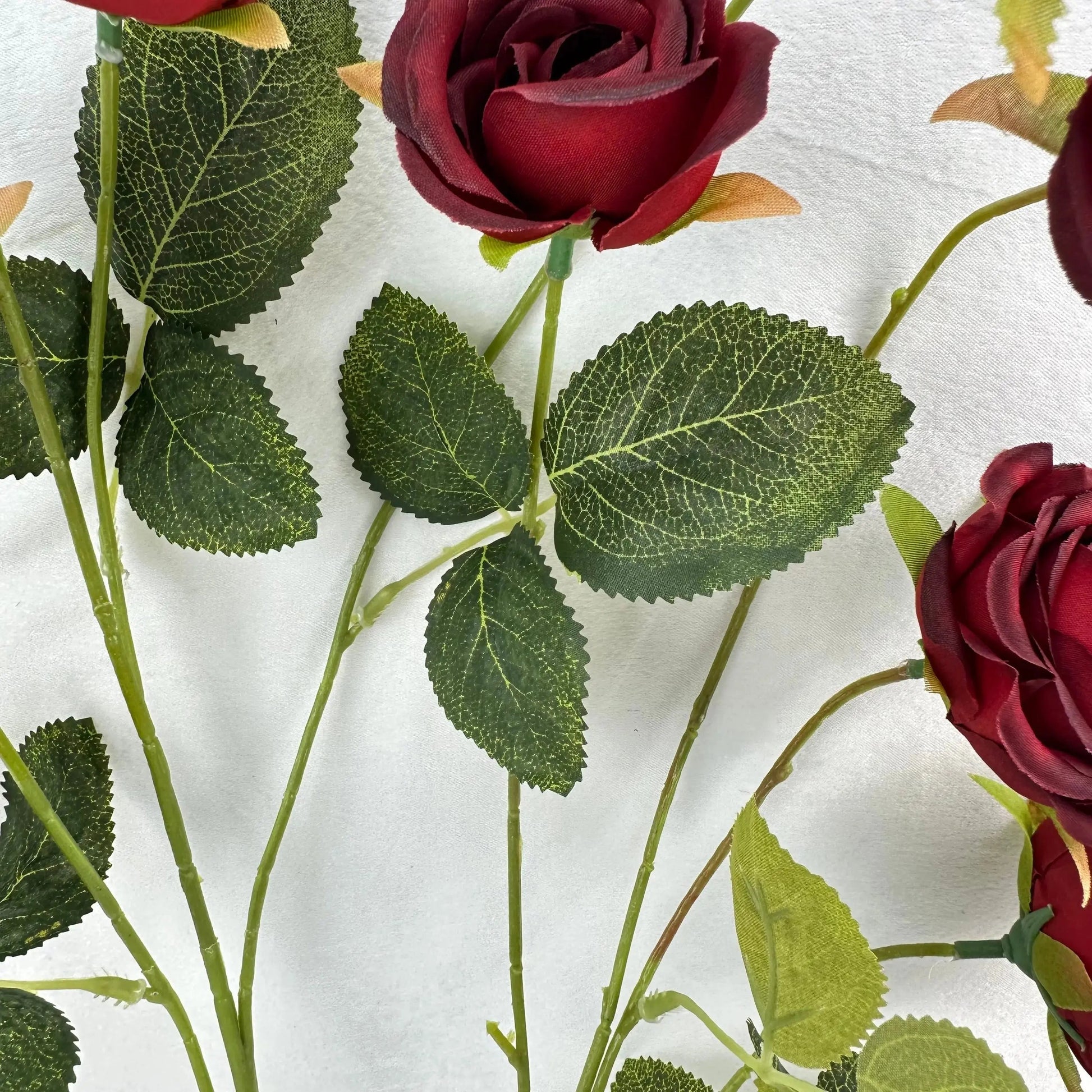 Red Silk Empress Rose Bush - 8 Heads RosesHQ.com