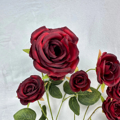 Red Silk Empress Rose Bush - 8 Heads RosesHQ.com