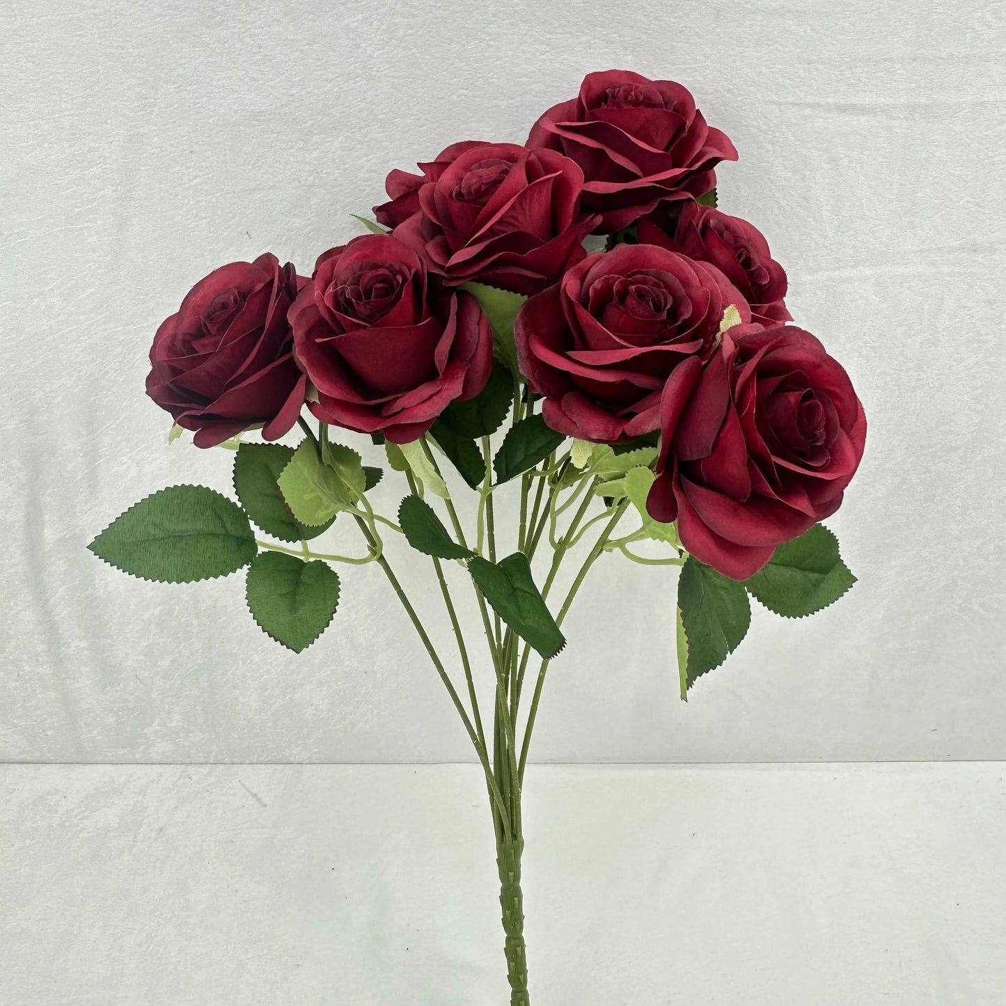Red Silk Holland Rose Bush - 9 Heads RosesHQ.com