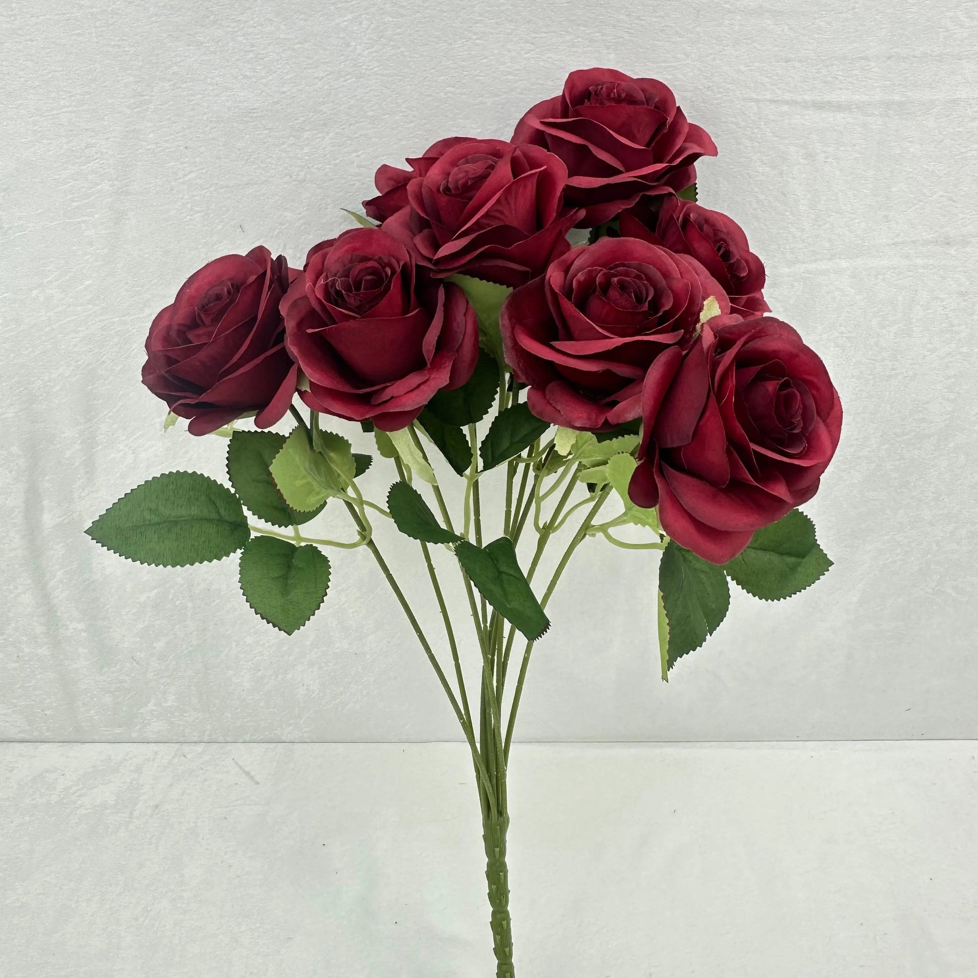 Red Silk Holland Rose Bush - 9 Heads RosesHQ.com