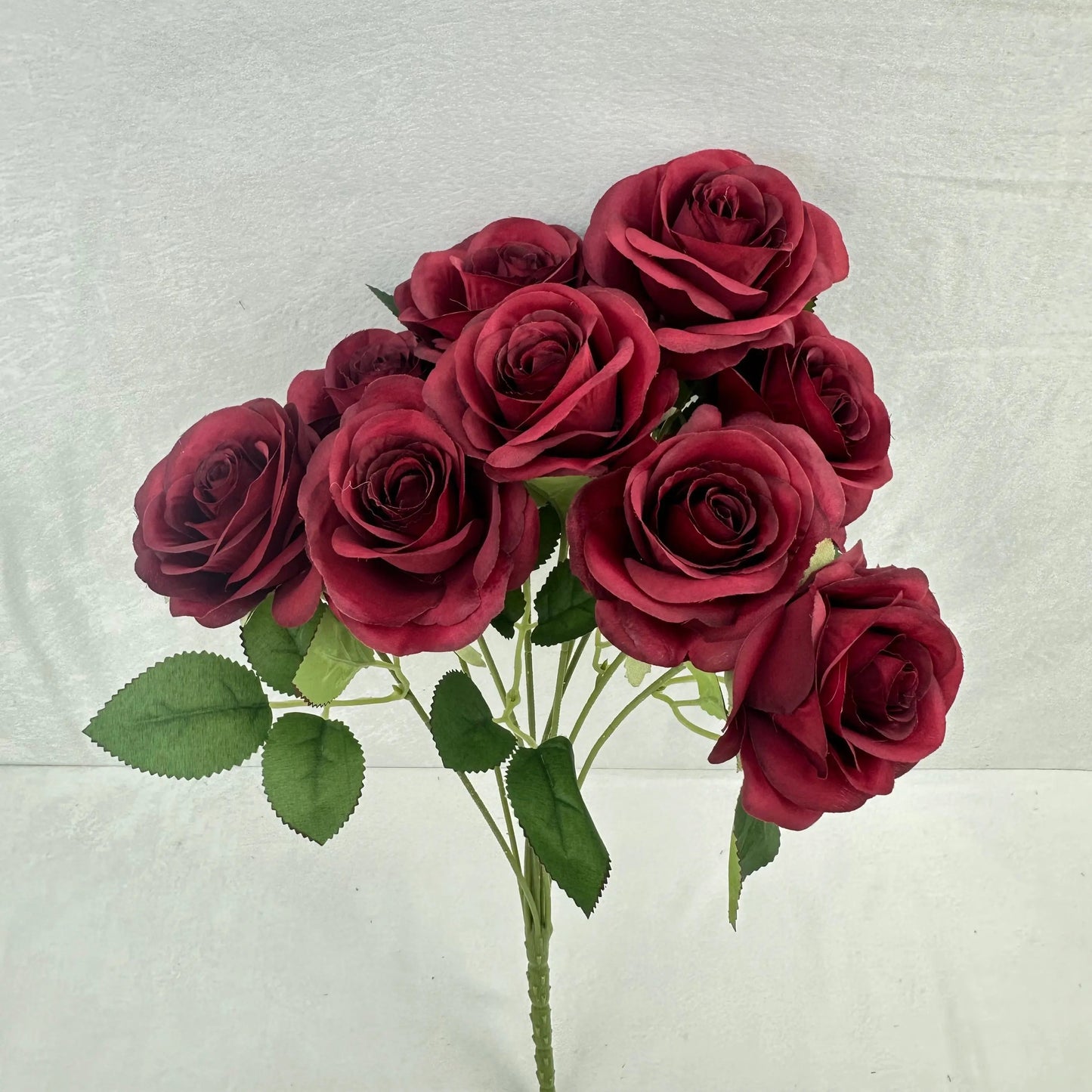 Red Silk Holland Rose Bush - 9 Heads RosesHQ.com