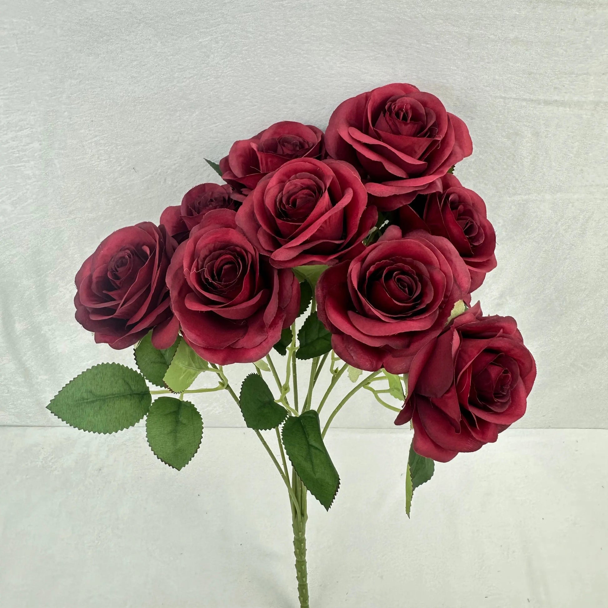 Red Silk Holland Rose Bush - 9 Heads RosesHQ.com