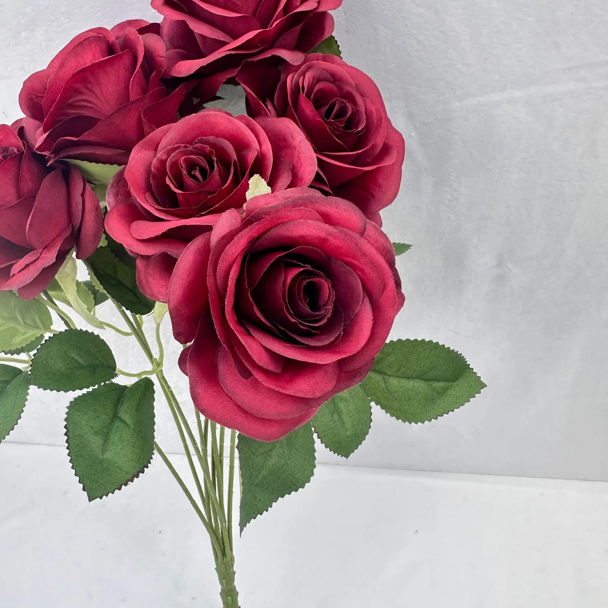 Red Silk Holland Rose Bush - 9 Heads RosesHQ.com