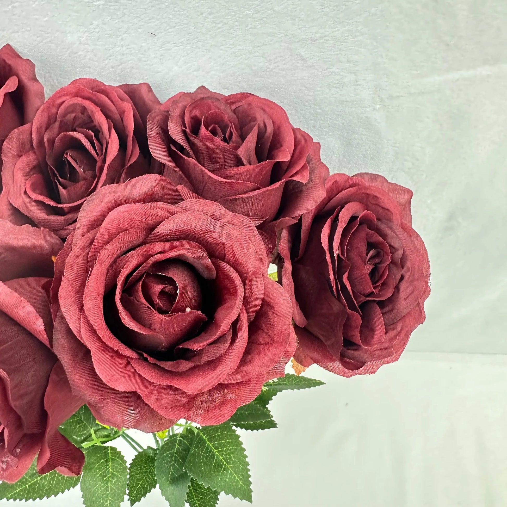 Red Silk Acacia Rose Bush - 9 Heads RosesHQ.com