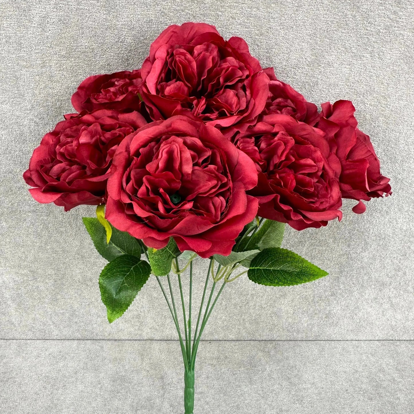 Red Silk Austin Rose Bush - 7 Heads RosesHQ.com