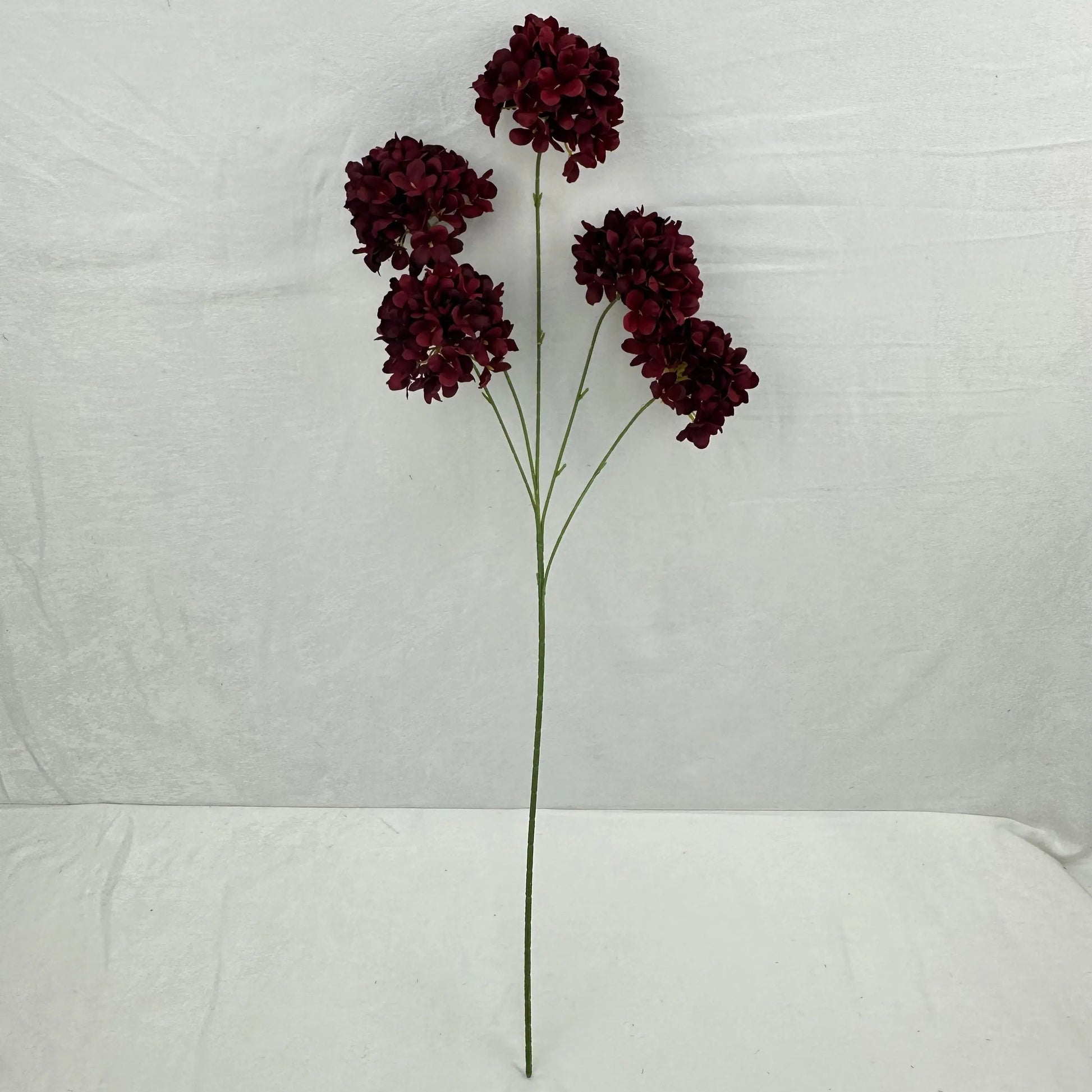 Red Silk Candy Hydrangea Bush - 5 Heads RosesHQ.com