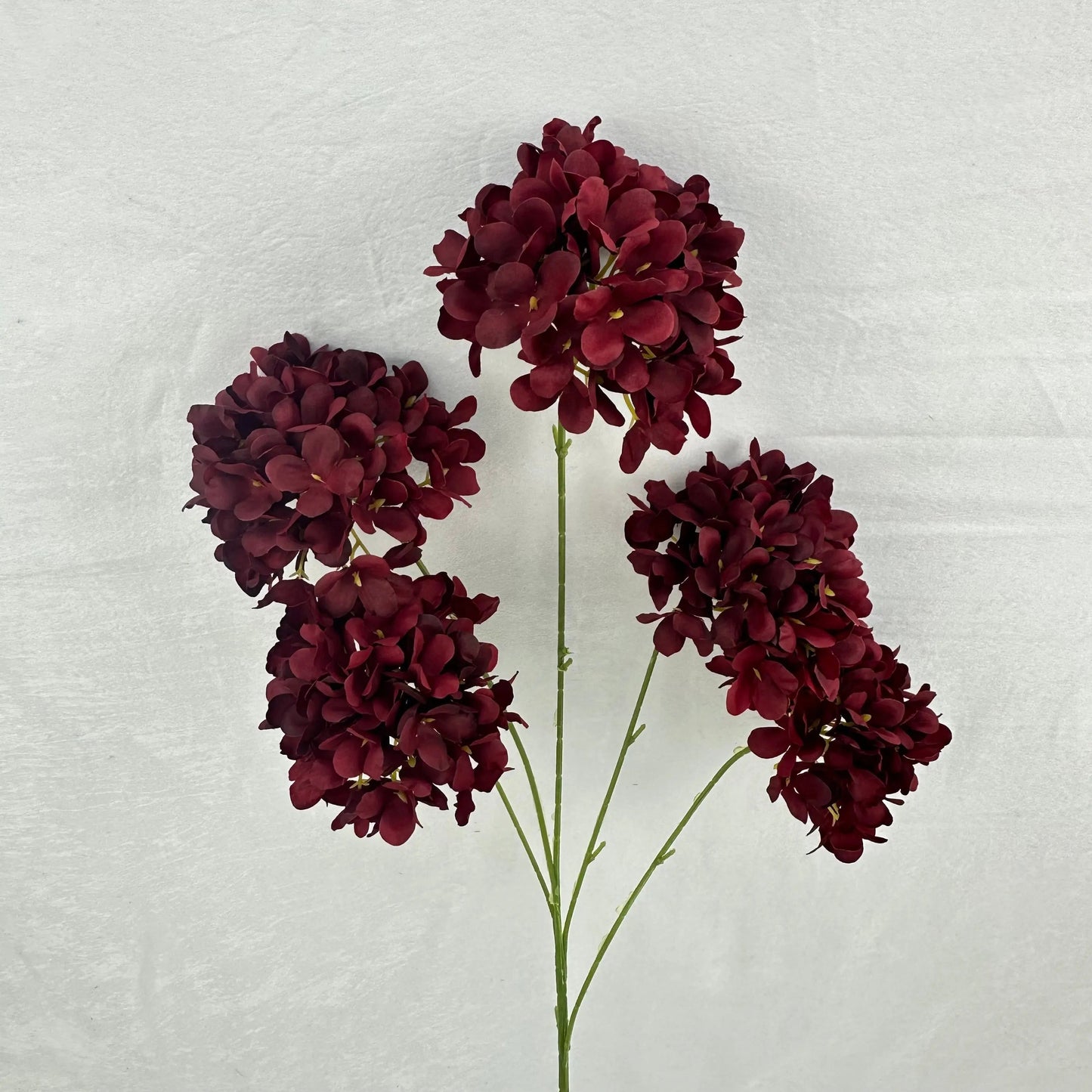 Red Silk Candy Hydrangea Bush - 5 Heads RosesHQ.com