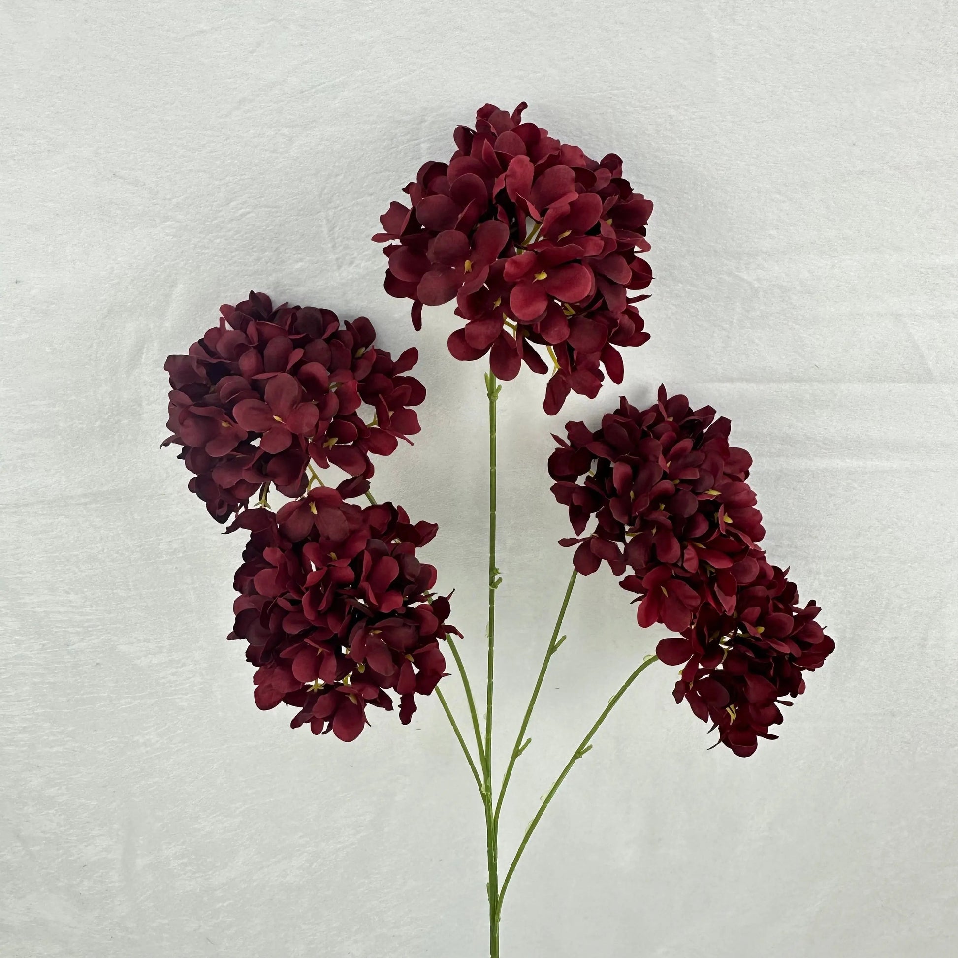 Red Silk Candy Hydrangea Bush - 5 Heads RosesHQ.com