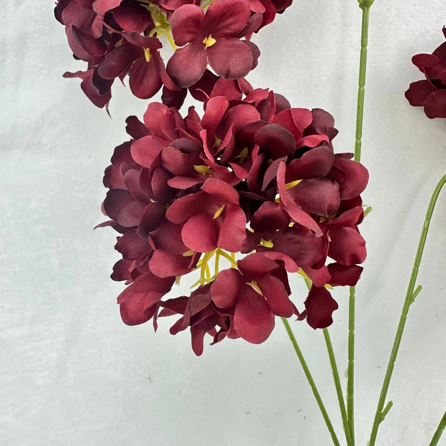Red Silk Candy Hydrangea Bush - 5 Heads RosesHQ.com