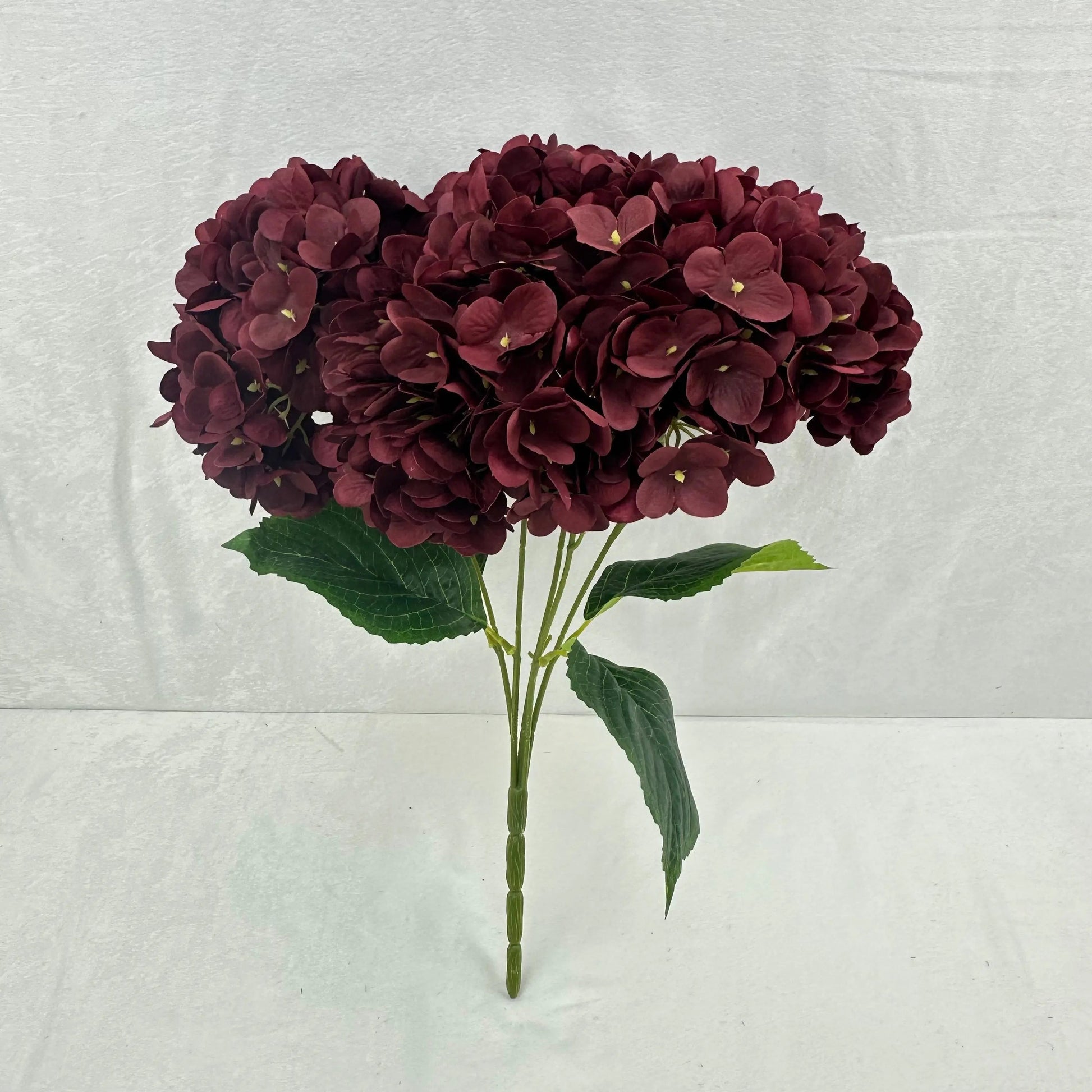 Red Silk Pomegranate Hydrangea Bush - 5 Heads RosesHQ.com