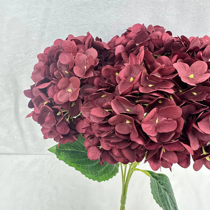 Red Silk Pomegranate Hydrangea Bush - 5 Heads RosesHQ.com
