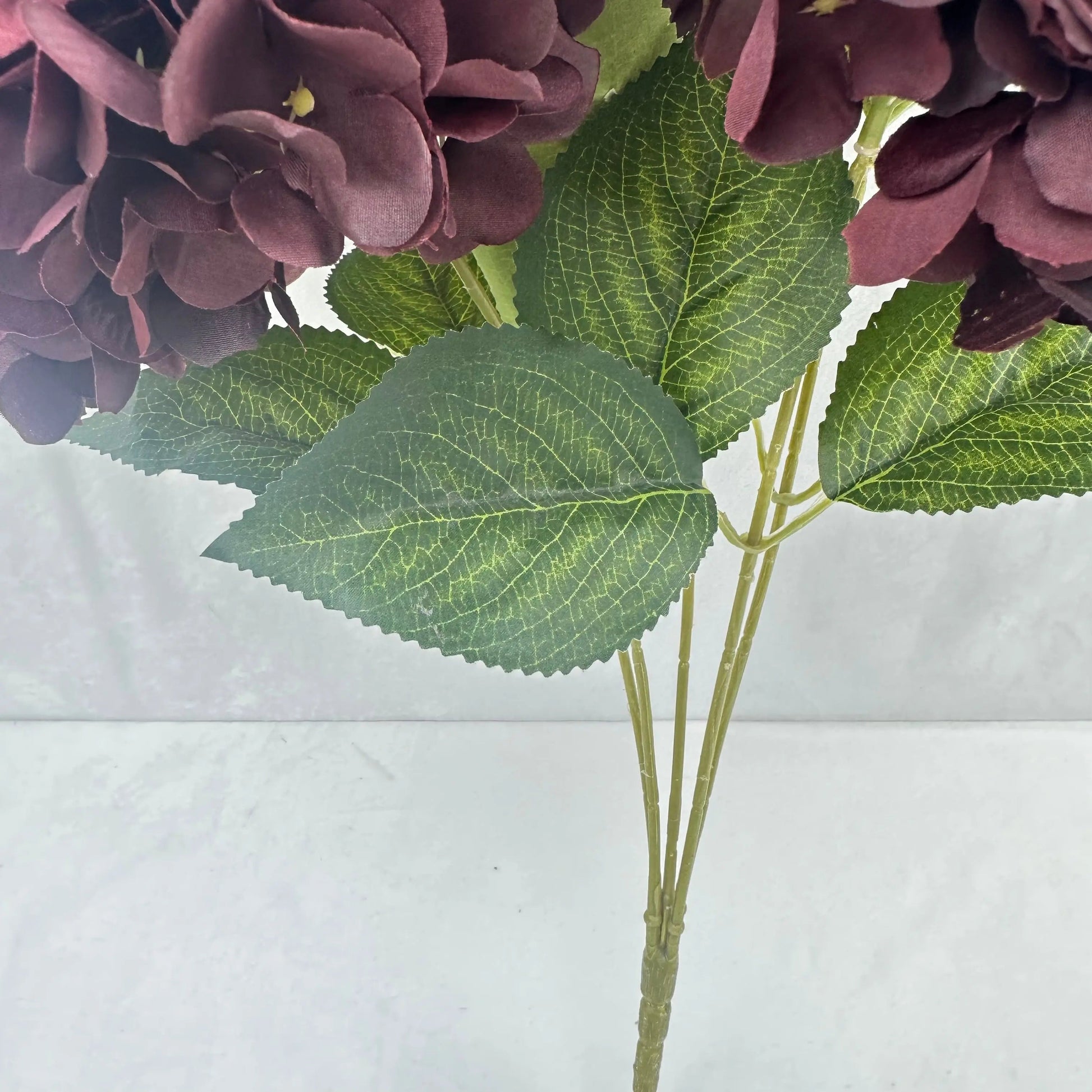 Red Silk French Hydrangea Bush - 5 Heads RosesHQ.com