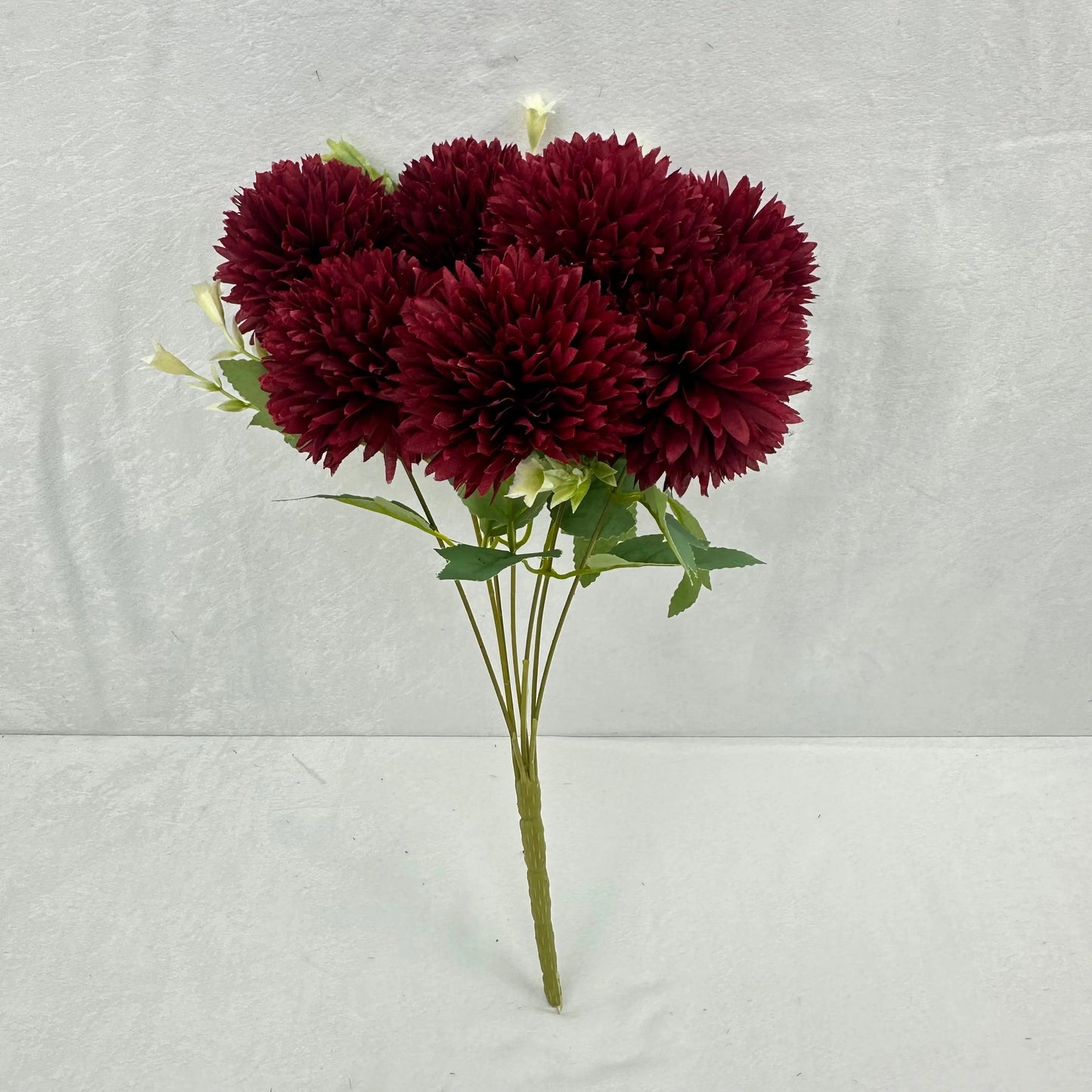 Red Silk Needle Chrysanthemum Bush - 7 Heads RosesHQ.com