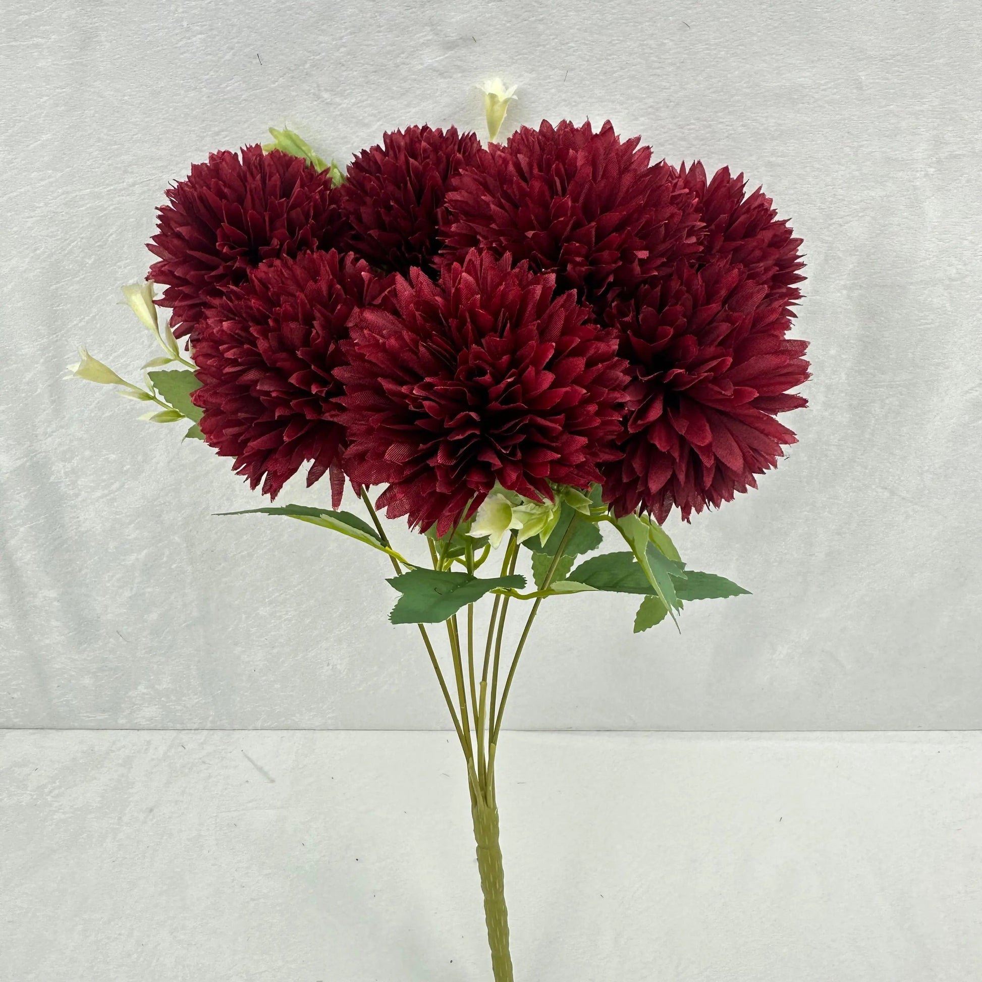 Red Silk Needle Chrysanthemum Bush - 7 Heads RosesHQ.com