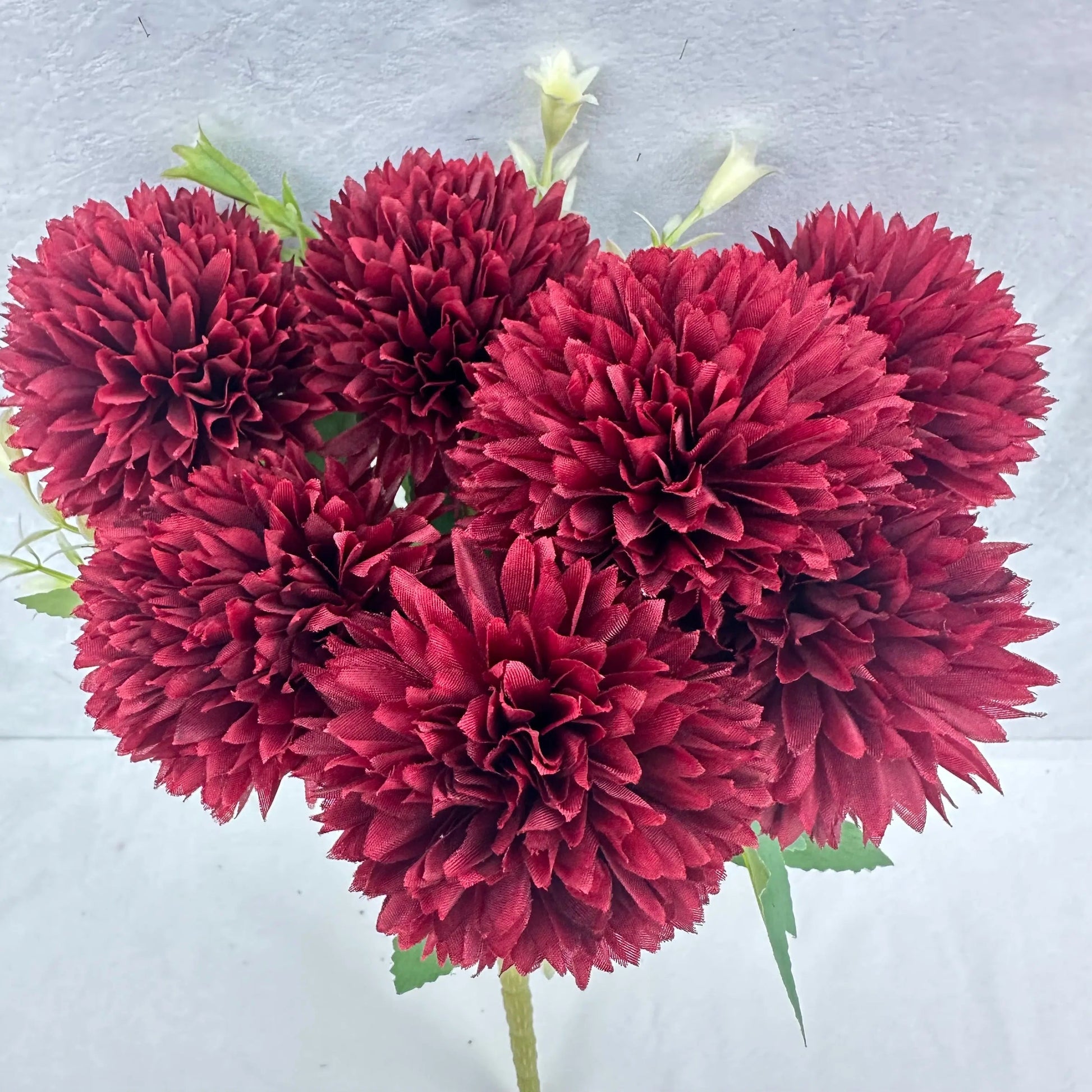 Red Silk Needle Chrysanthemum Bush - 7 Heads RosesHQ.com