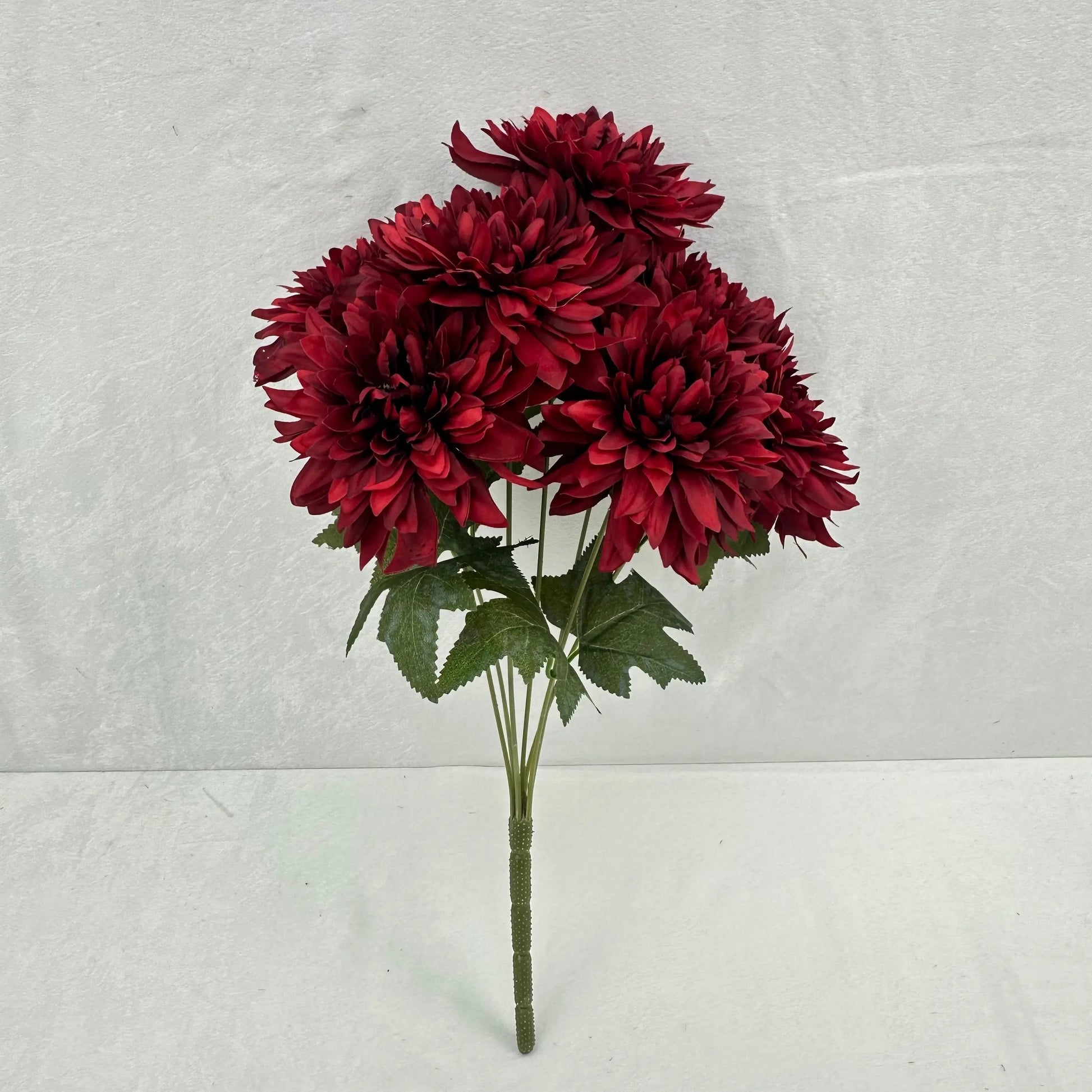 Red Silk Bo New Dahlia Bush - 7 Heads RosesHQ.com