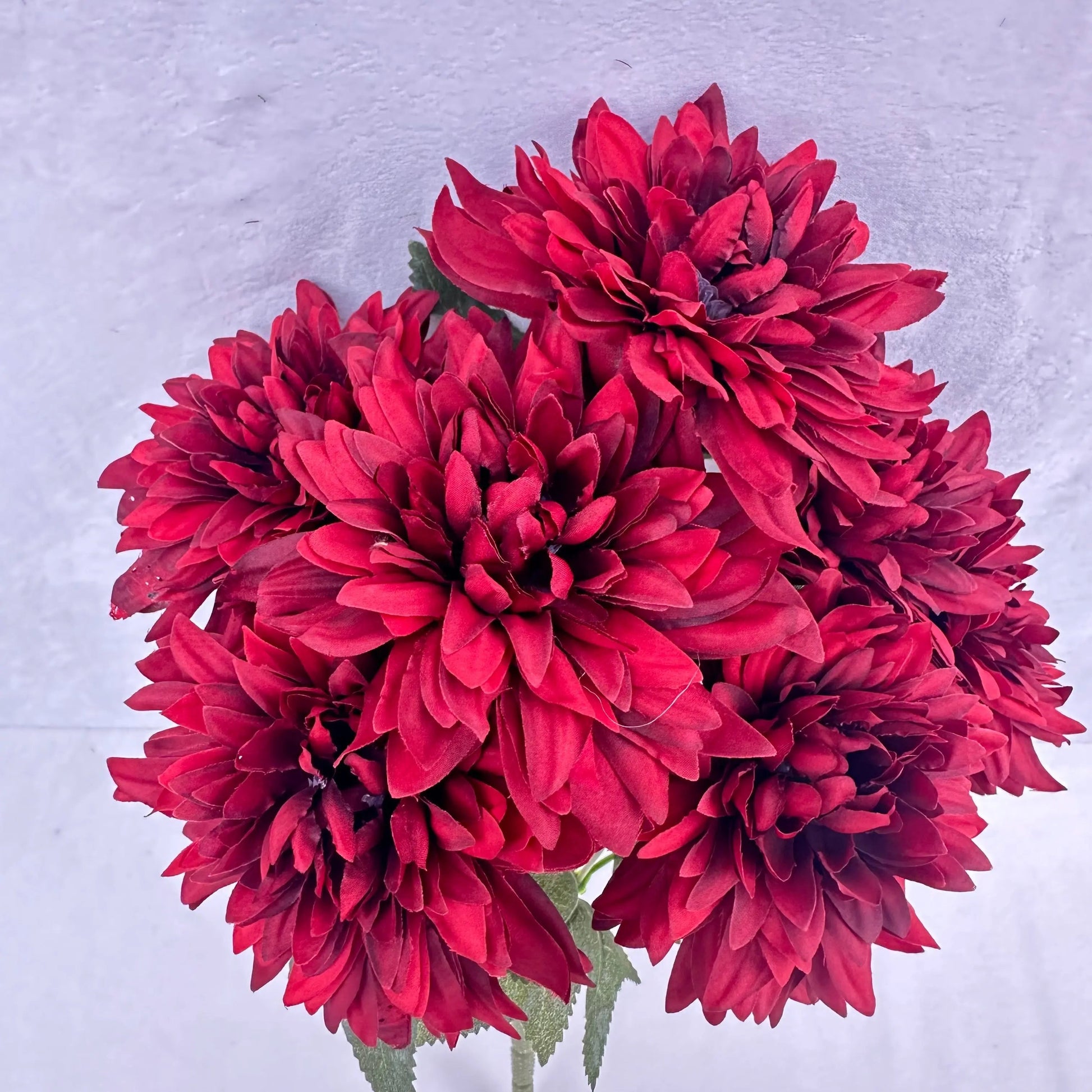 Red Silk Bo New Dahlia Bush - 7 Heads RosesHQ.com
