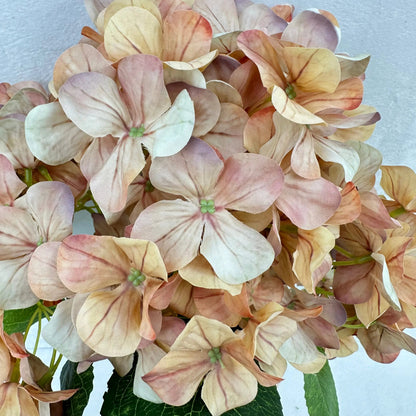 Brown Silk 3D Hydrangea Bush - 5 Heads RosesHQ.com