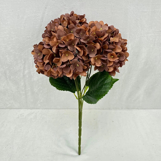 Brown Silk Pomegranate Hydrangea Bush - 5 Heads RosesHQ.com