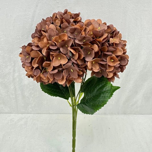 Brown Silk Pomegranate Hydrangea Bush - 5 Heads RosesHQ.com