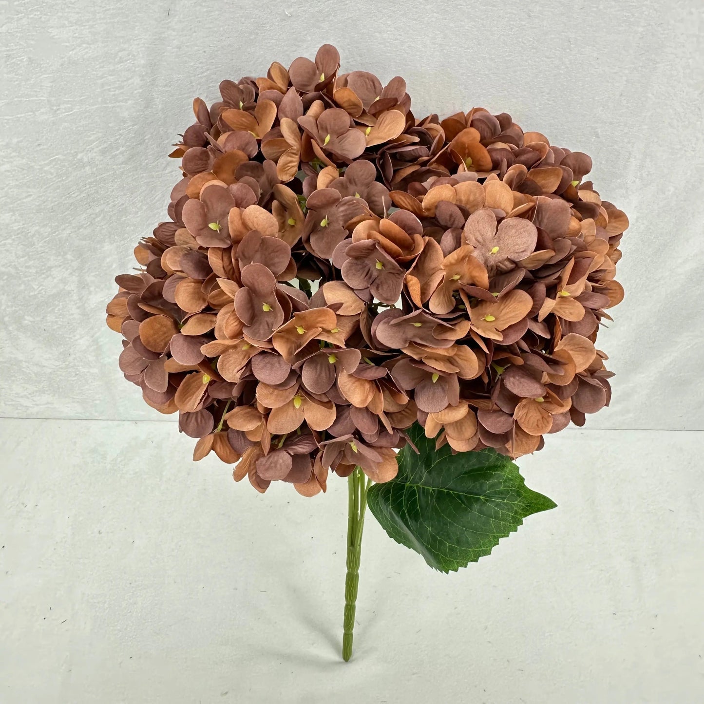 Brown Silk Pomegranate Hydrangea Bush - 5 Heads RosesHQ.com