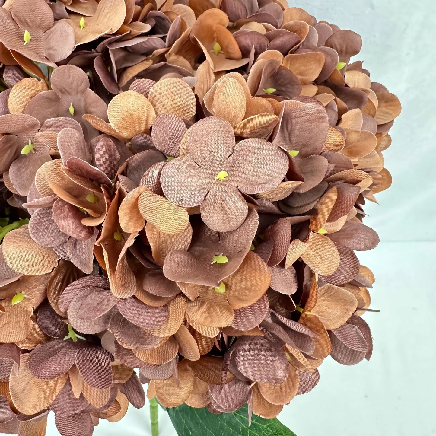 Brown Silk Pomegranate Hydrangea Bush - 5 Heads RosesHQ.com