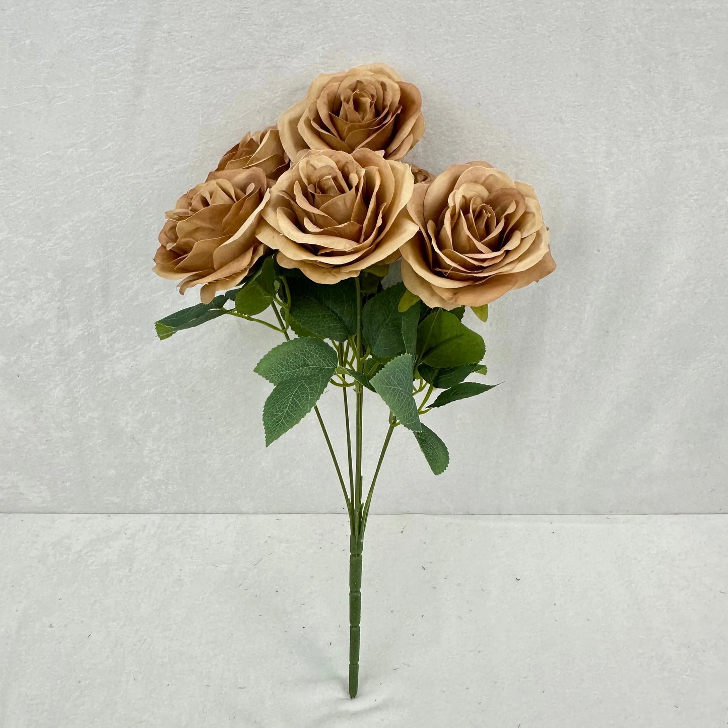 Brown Silk Happiness Rose Bush - 7 Heads RosesHQ.com