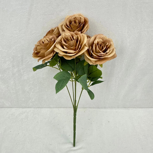 Brown Silk Happiness Rose Bush - 7 Heads RosesHQ.com