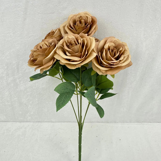 Brown Silk Happiness Rose Bush - 7 Heads RosesHQ.com