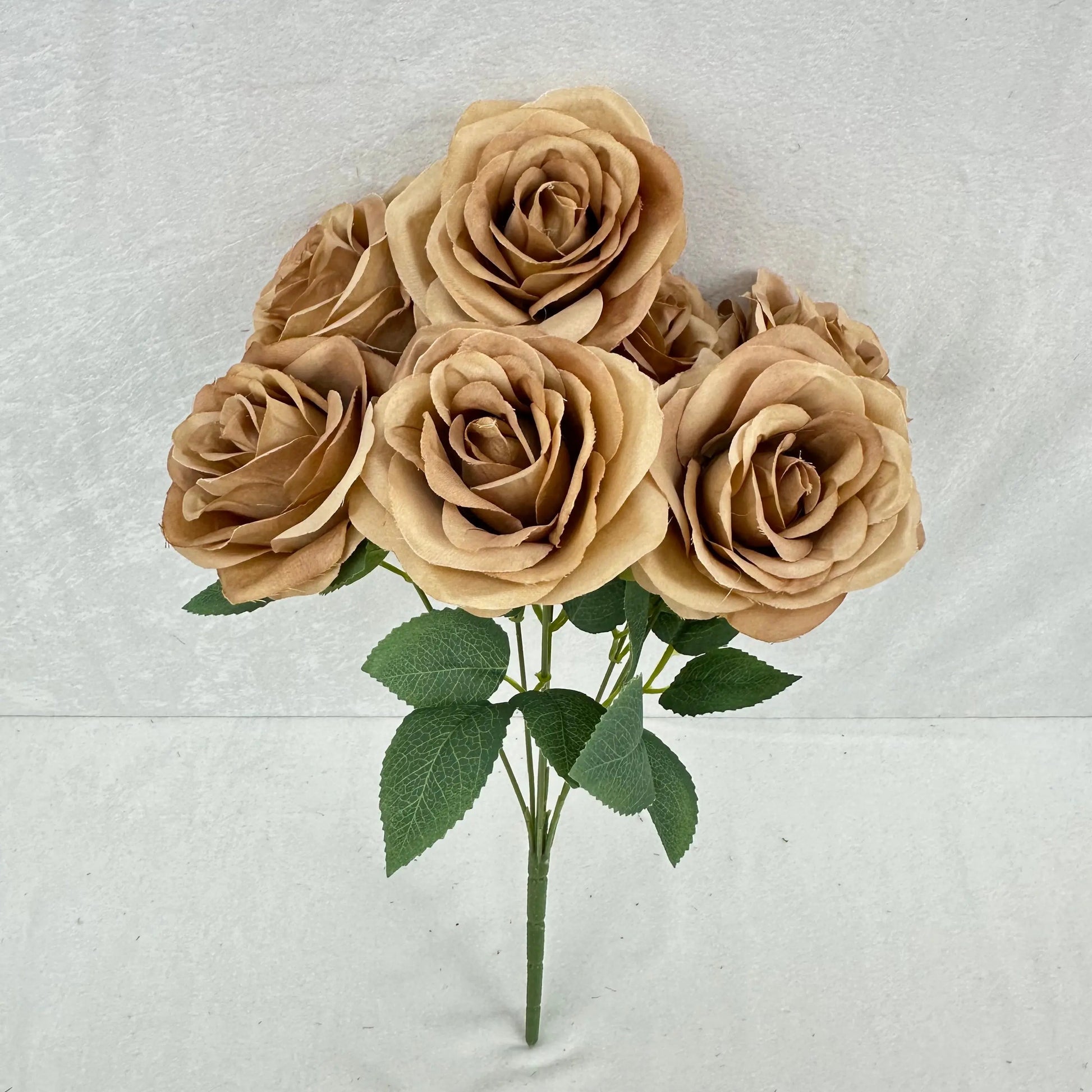 Brown Silk Happiness Rose Bush - 7 Heads RosesHQ.com