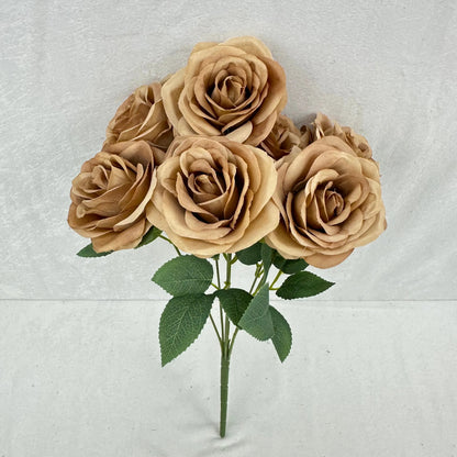 Brown Silk Happiness Rose Bush - 7 Heads RosesHQ.com