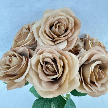 Brown Silk Happiness Rose Bush - 7 Heads RosesHQ.com