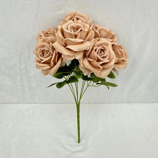 Brown Silk Star Moon Rose Bush - 7 Heads RosesHQ.com