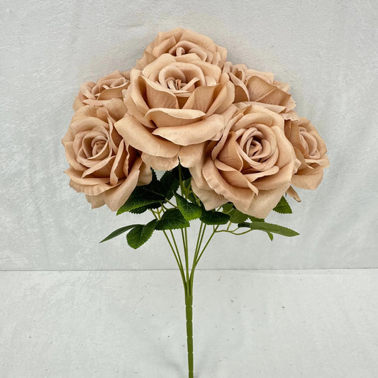 Brown Silk Star Moon Rose Bush - 7 Heads RosesHQ.com