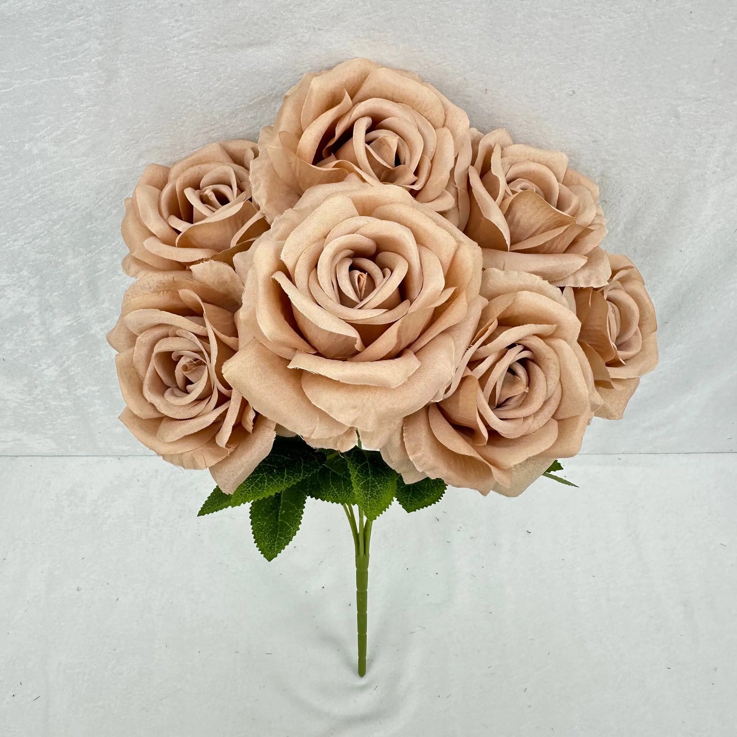 Brown Silk Star Moon Rose Bush - 7 Heads RosesHQ.com