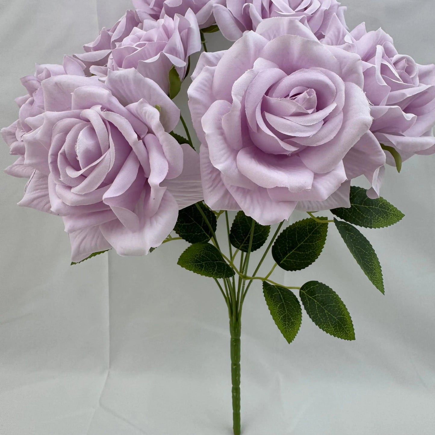 Lilac Silk Fruit Rose Bush - 9 Heads RosesHQ.com