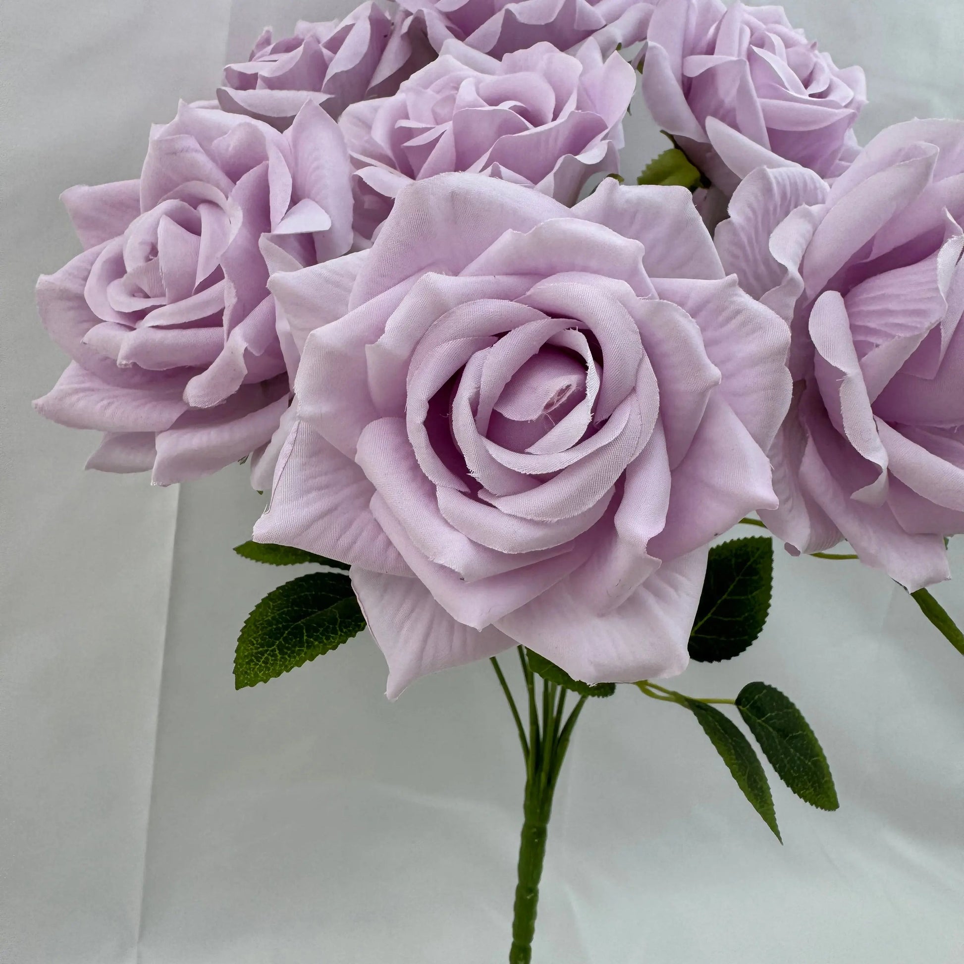 Lilac Silk Fruit Rose Bush - 9 Heads RosesHQ.com