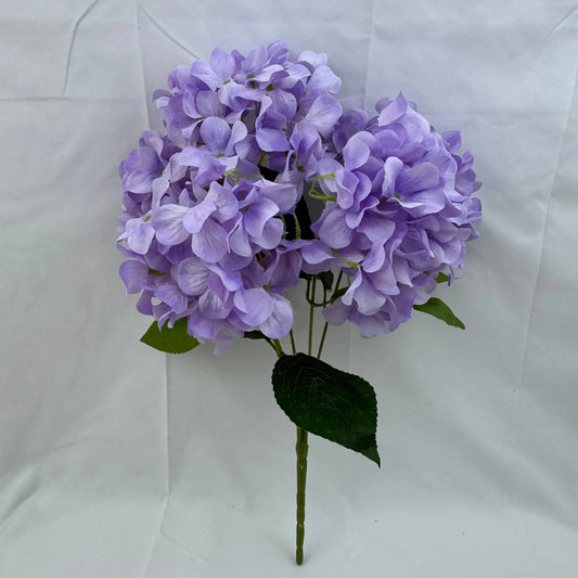 Lavender Silk Bulgarian Hydrangea Bush - 5 Heads RosesHQ.com