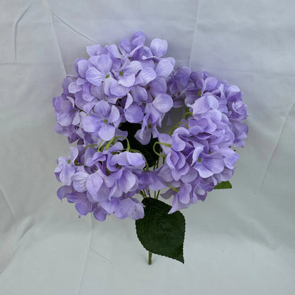 Lavender Silk Bulgarian Hydrangea Bush - 5 Heads RosesHQ.com