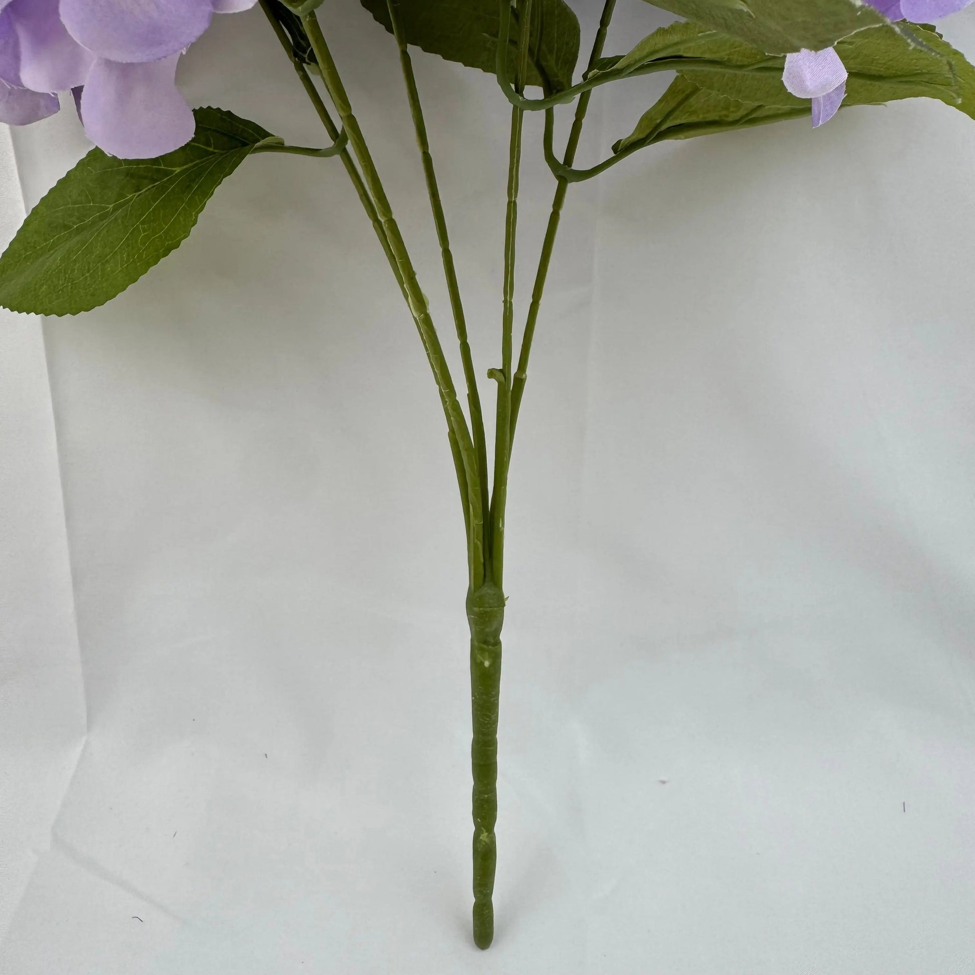 Lavender Silk Bulgarian Hydrangea Bush - 5 Heads RosesHQ.com