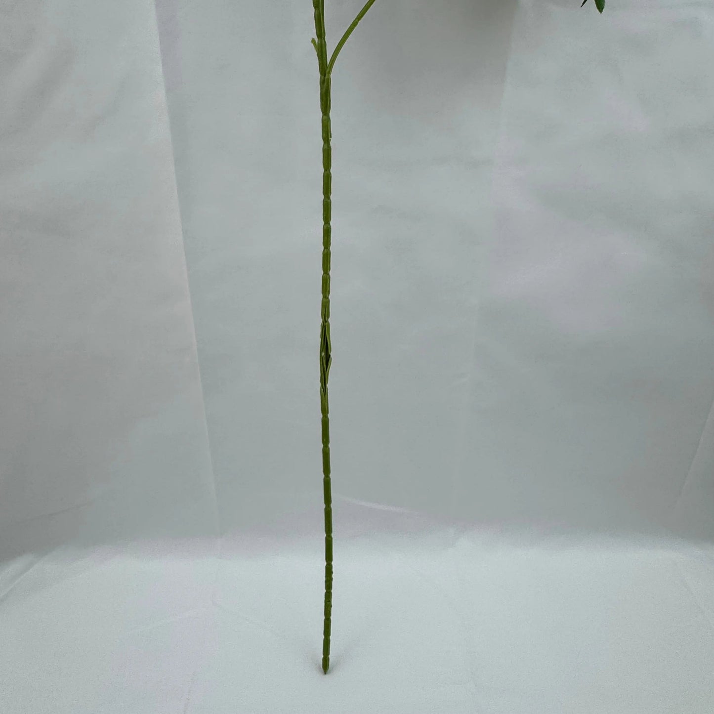 Lavender Silk Lilac Bush - 6 Heads RosesHQ.com