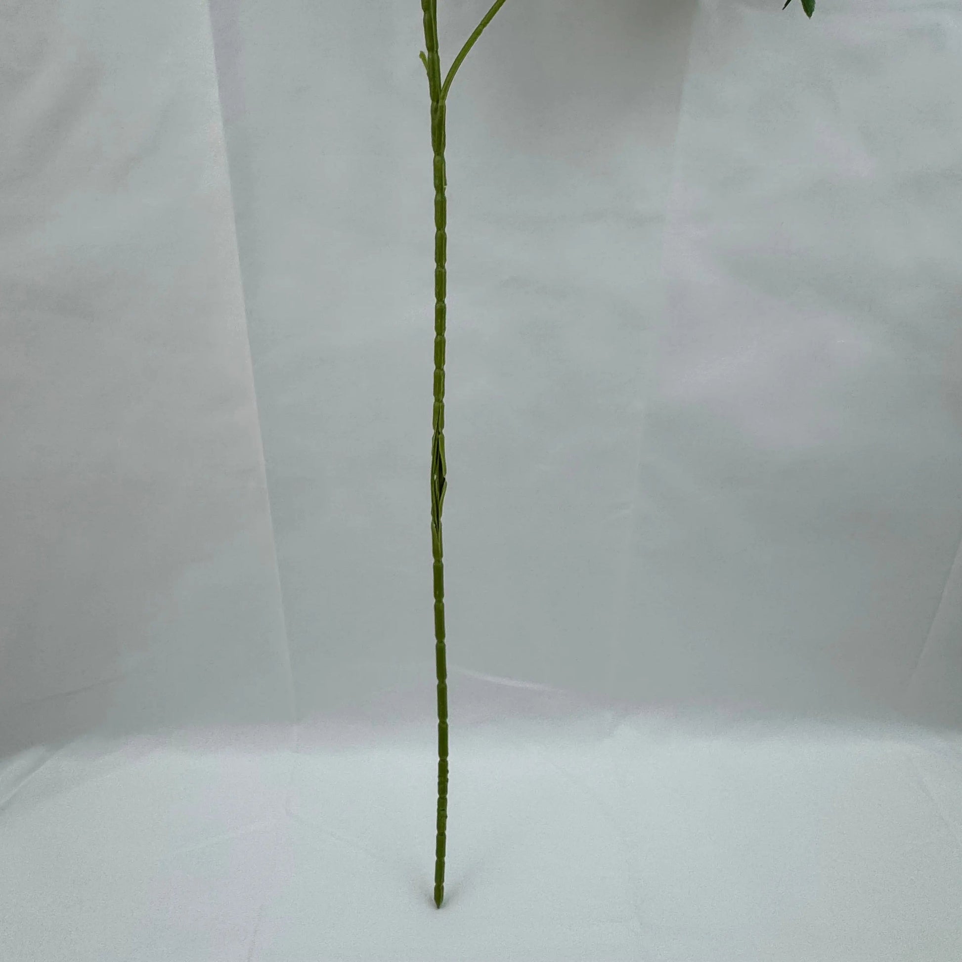 Lavender Silk Lilac Bush - 6 Heads RosesHQ.com