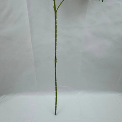 Lavender Silk Lilac Bush - 6 Heads RosesHQ.com