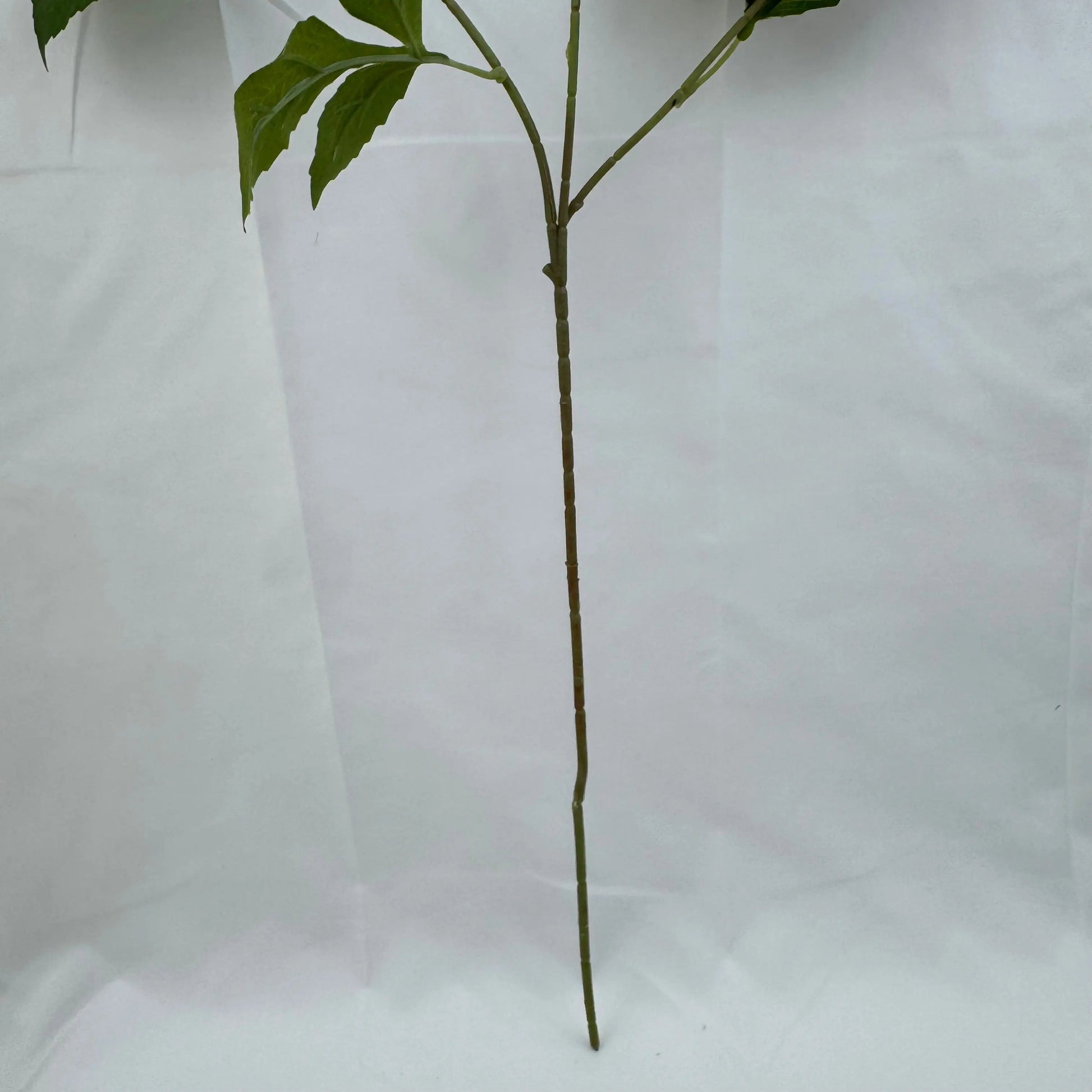 Lavender Silk Splendid Bloom 3 Branch RosesHQ.com
