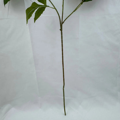 Lavender Silk Splendid Bloom 3 Branch RosesHQ.com