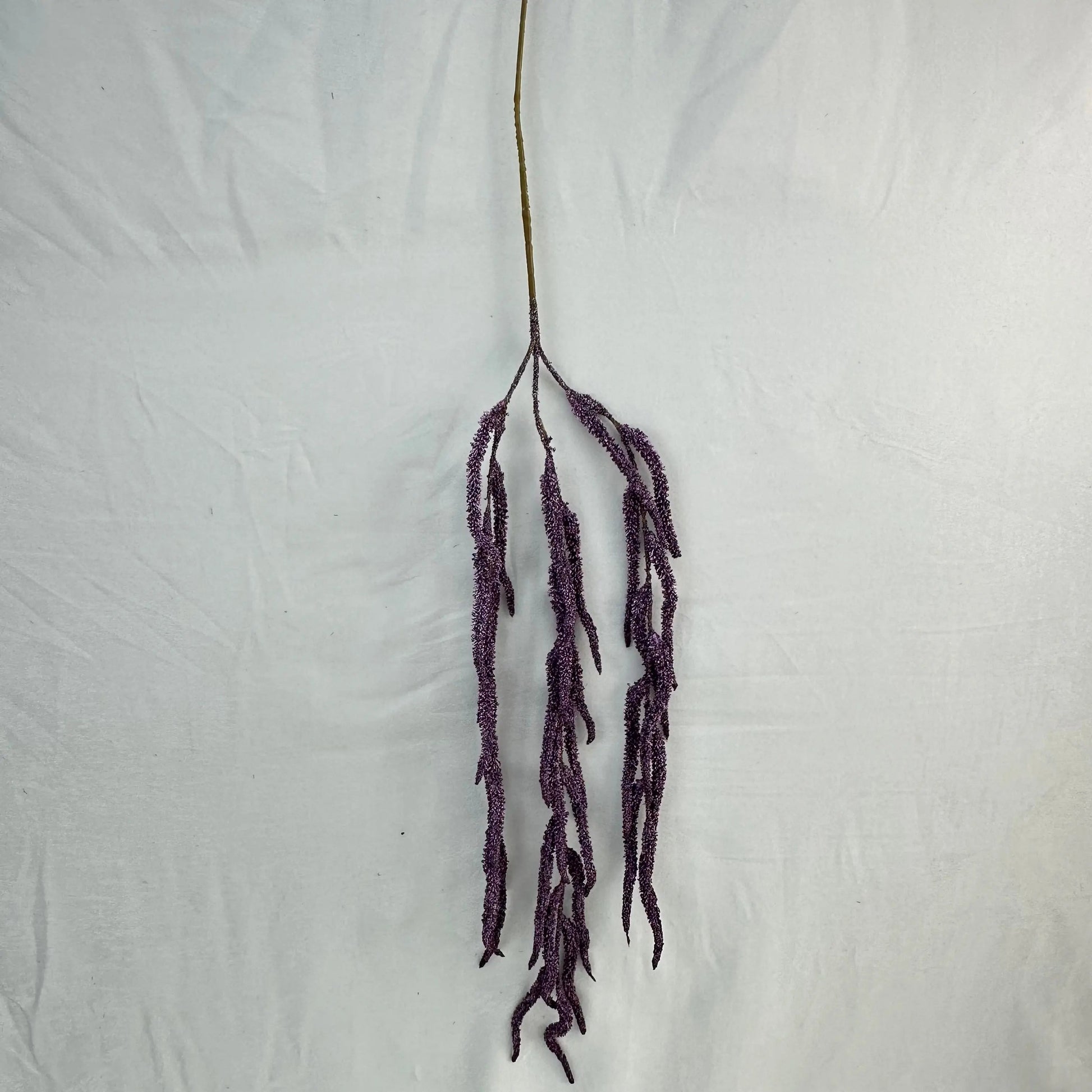 Purple Silk Amaranthus Stem RosesHQ.com