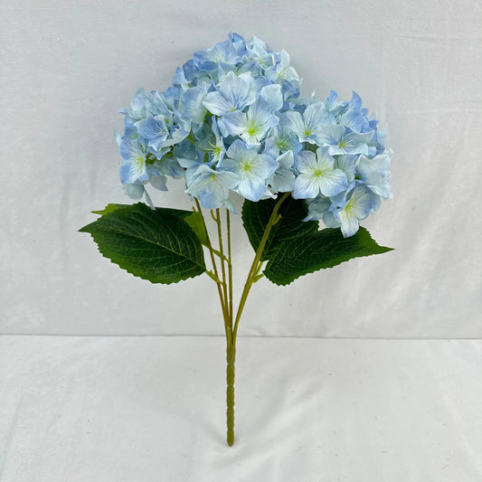 Blue Silk Lady Rose Hydrangea Bush - 5 Heads RosesHQ.com
