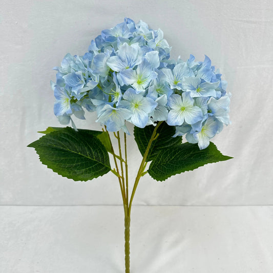 Blue Silk Lady Rose Hydrangea Bush - 5 Heads RosesHQ.com