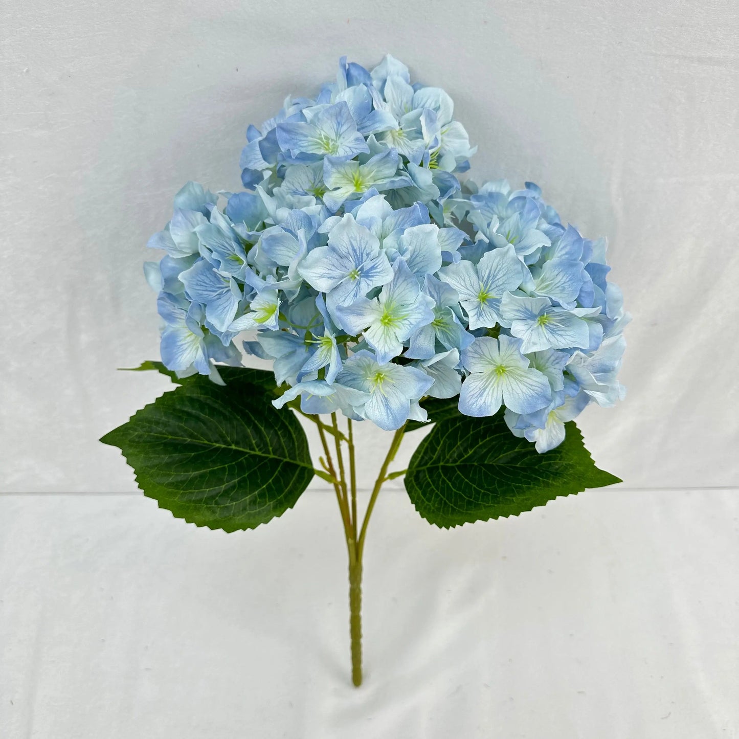 Blue Silk Lady Rose Hydrangea Bush - 5 Heads RosesHQ.com